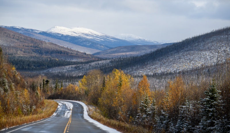 Steese Highway View.