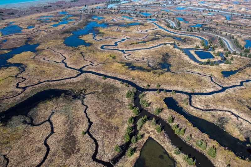 Copper River Delta — Cordova, Alaska.